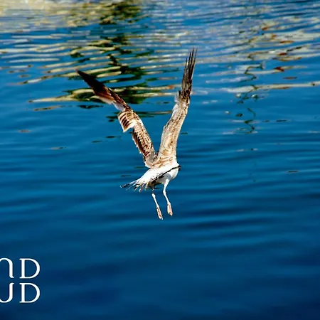 L'horizon - Exceptionnelle Vue Avec Terrasse Et Parking *