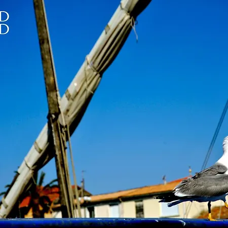 L'horizon - Exceptionnelle Vue Avec Terrasse Et Parking Lejlighed *